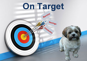 target with arrows indicating on target with savings, service, and satisfaction